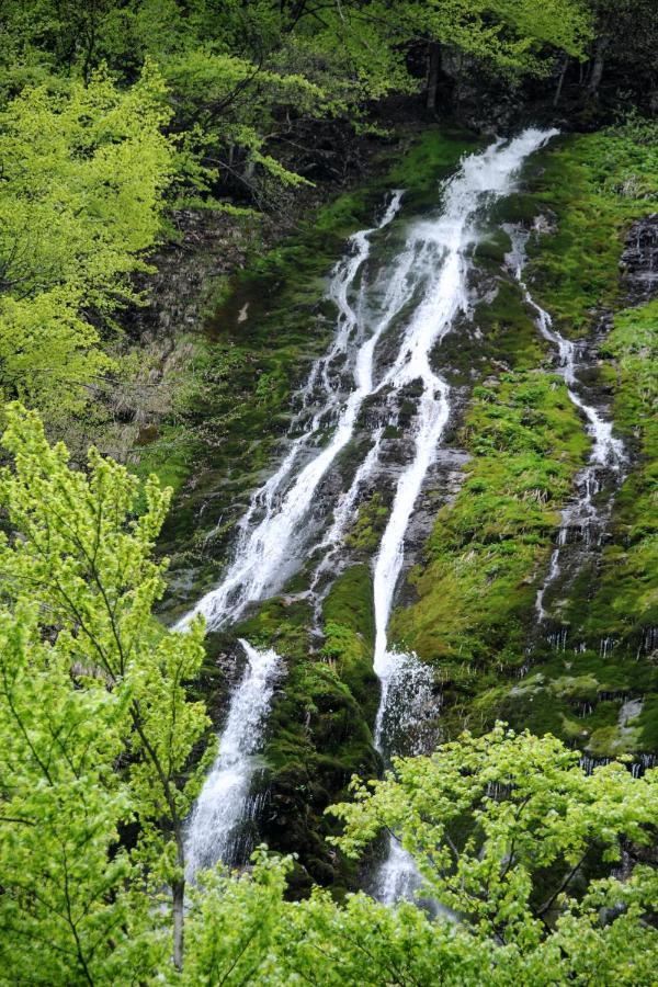 Gorska Hiska Vogar Nad Bohinjskim Jezerom Εξωτερικό φωτογραφία